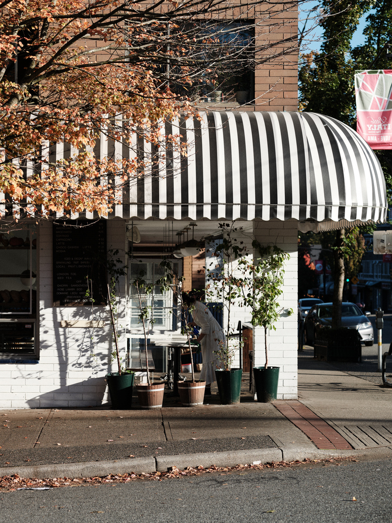 Street view of a café with striped awning and autumn leaves, potted plants lining the sidewalk in warm sunlight.