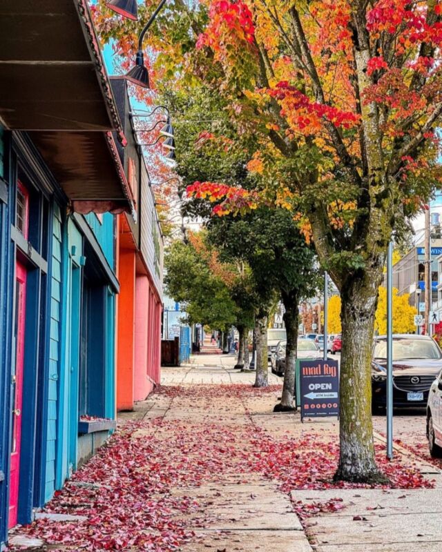 It’s officially fall in #BreweryDistrict! 🍂 

Enjoy the changing leaves while walking along the trail at Brunette River or through out the city. #NewWestminster

📸: @ocpcanada